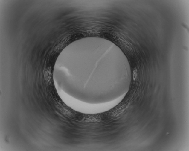 X0000095121011200801041218