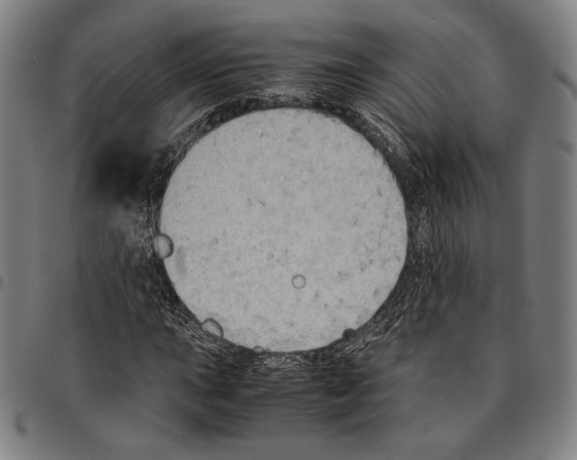 X0000095121015200801041218