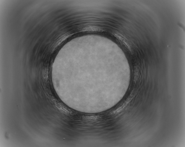 X0000095121017200801041218