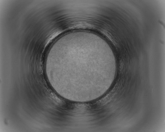 X0000095121018200801041218