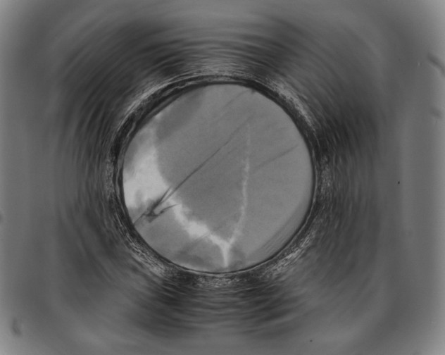 X0000095121019200801041218