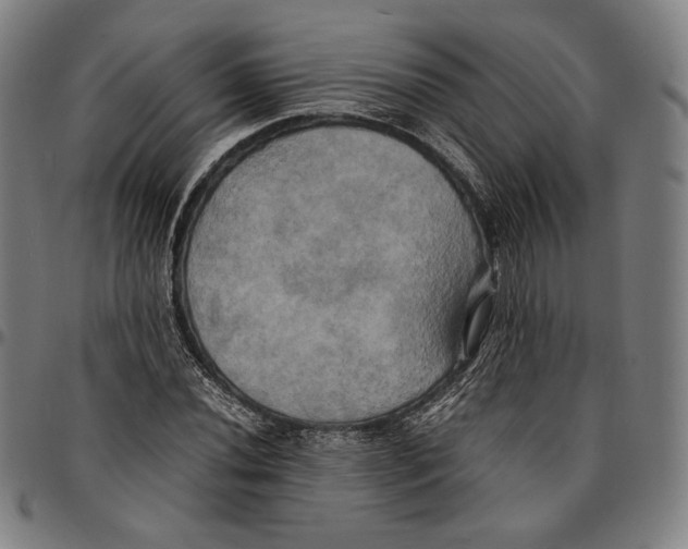 X0000095121020200801041218