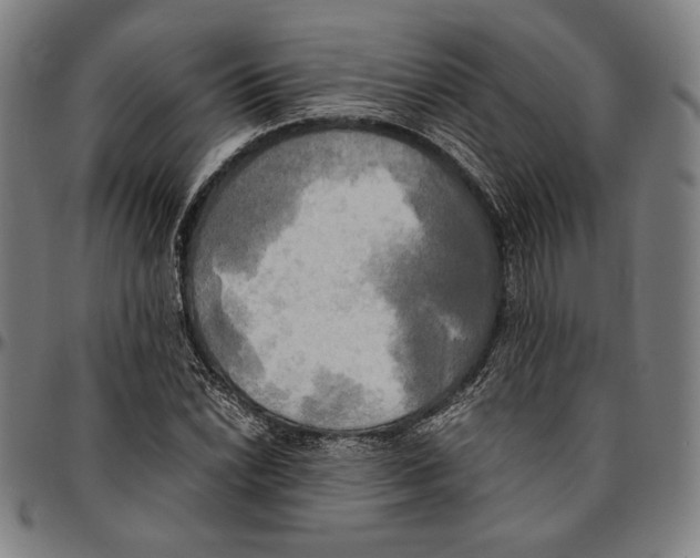 X0000095121022200801041218