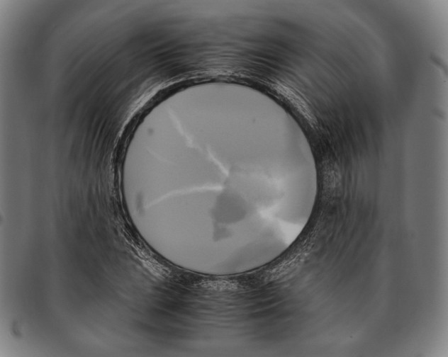 X0000095121023200801041218