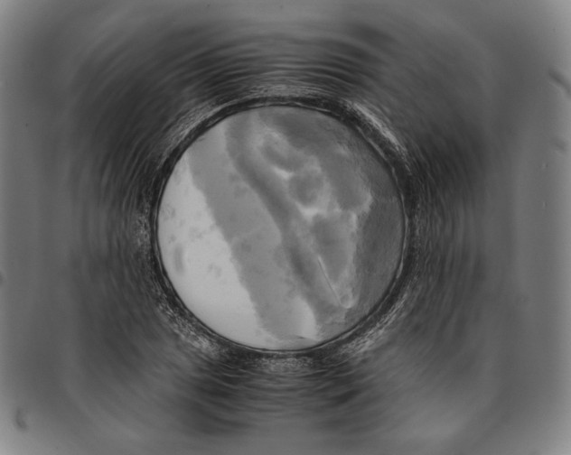 X0000095121025200801041218