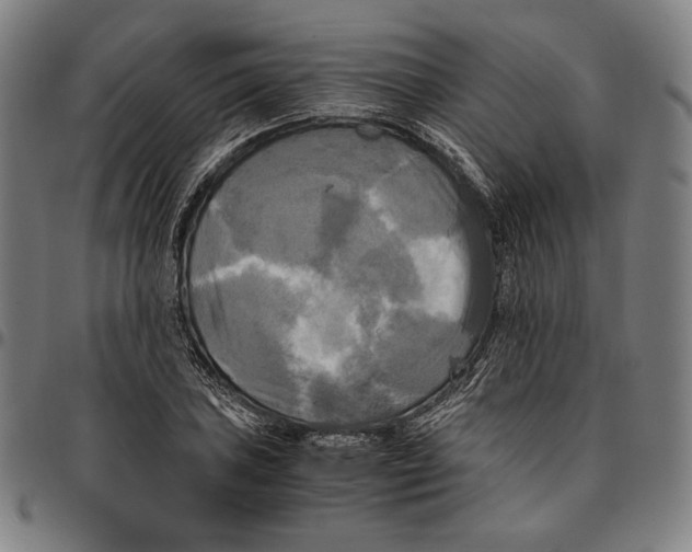 X0000095121027200801041218