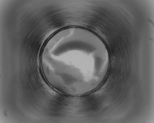 X0000095121028200801041219