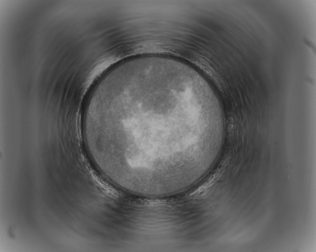 X0000095121030200801041219