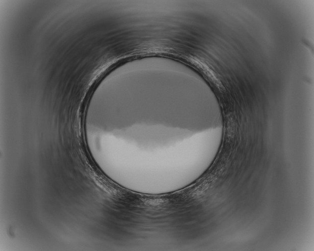 X0000095121031200801041219