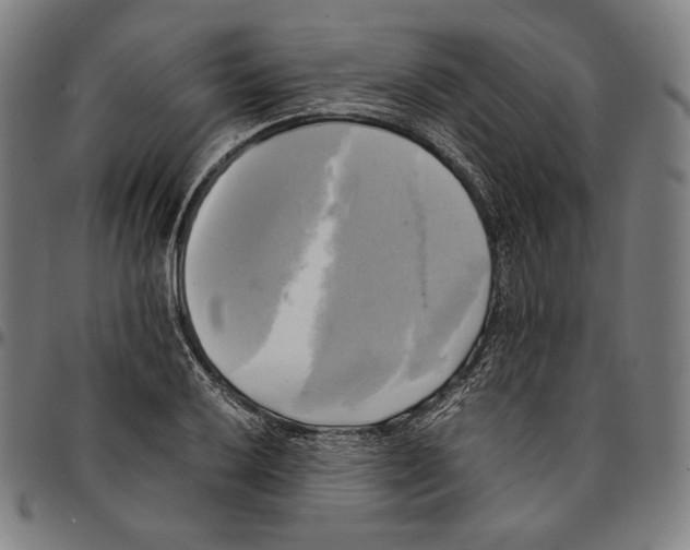 X0000095121032200801041219