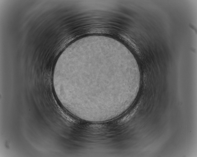 X0000095121033200801041219