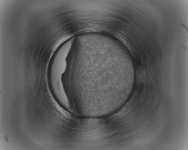 X0000095121034200801041219