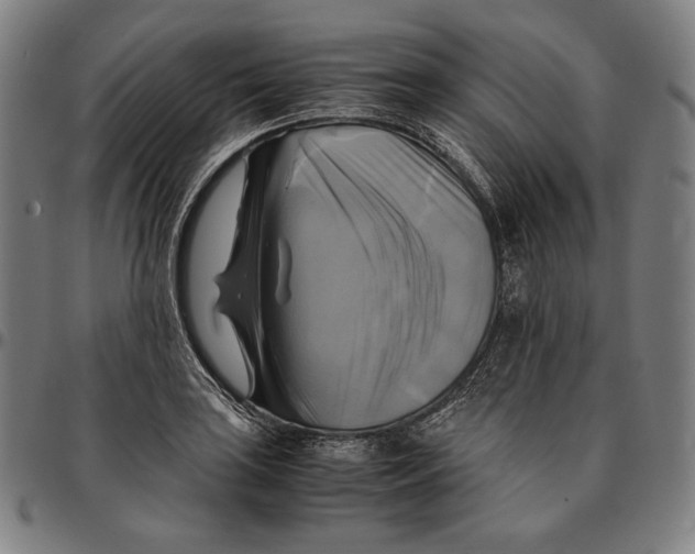 X0000095121035200801041219