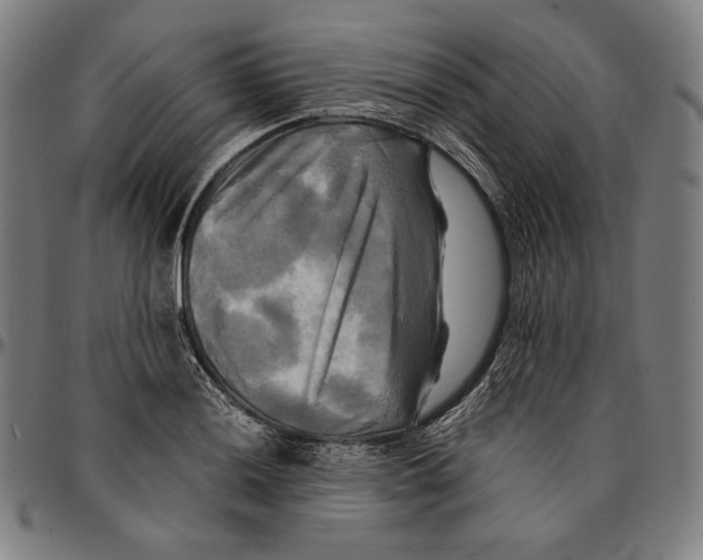 X0000095121036200801041219