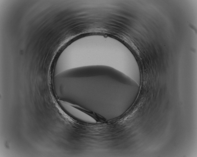 X0000095121037200801041219