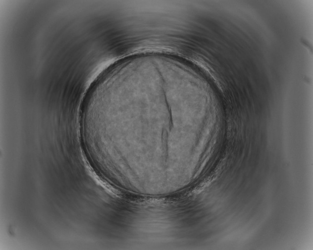 X0000095121038200801041219