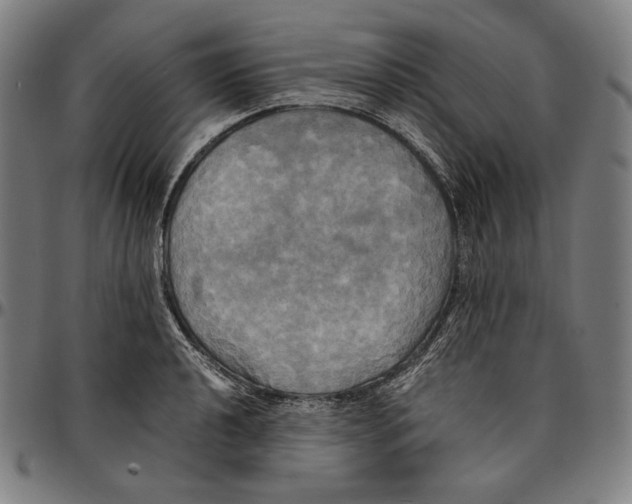 X0000095121040200801041219