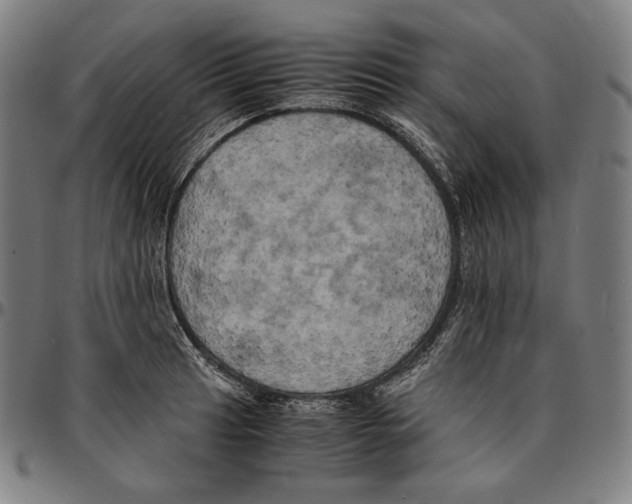 X0000095121041200801041219