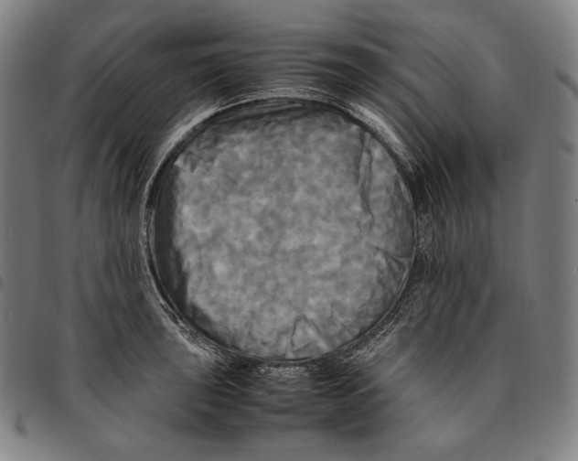 X0000095121043200801041219