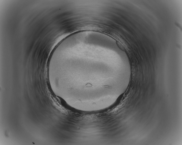 X0000095121044200801041219