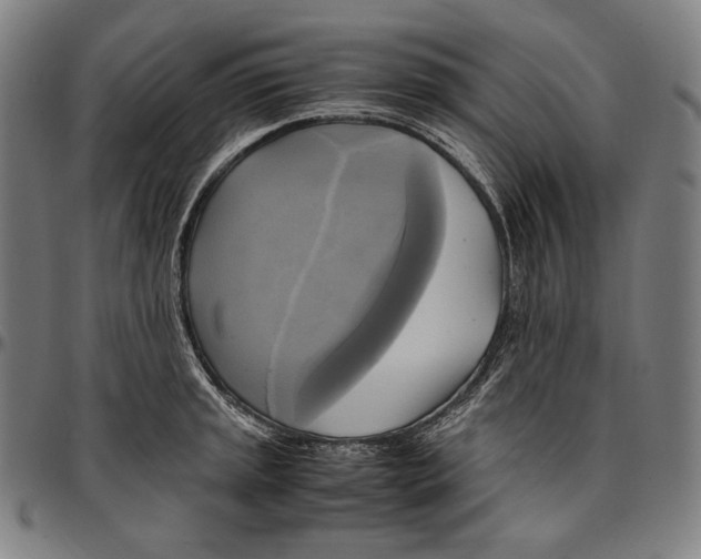 X0000095121045200801041219