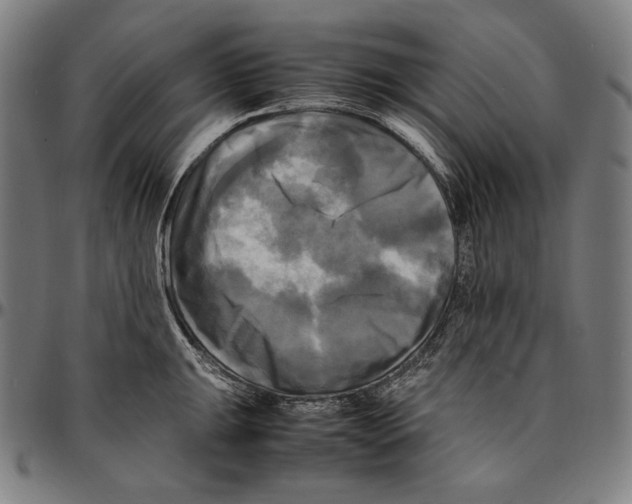 X0000095121047200801041219