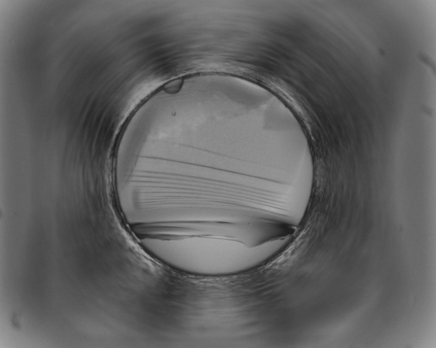 X0000095121048200801041219