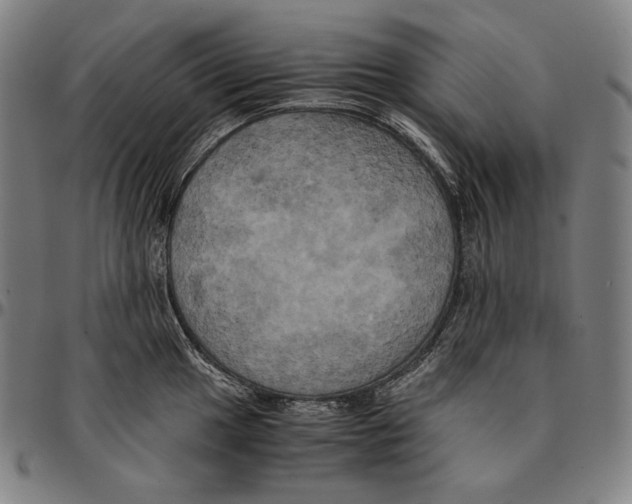 X0000095121049200801041219