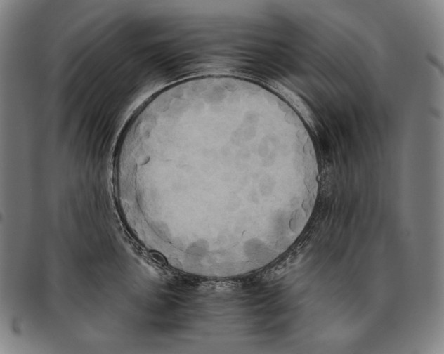 X0000095121051200801041219