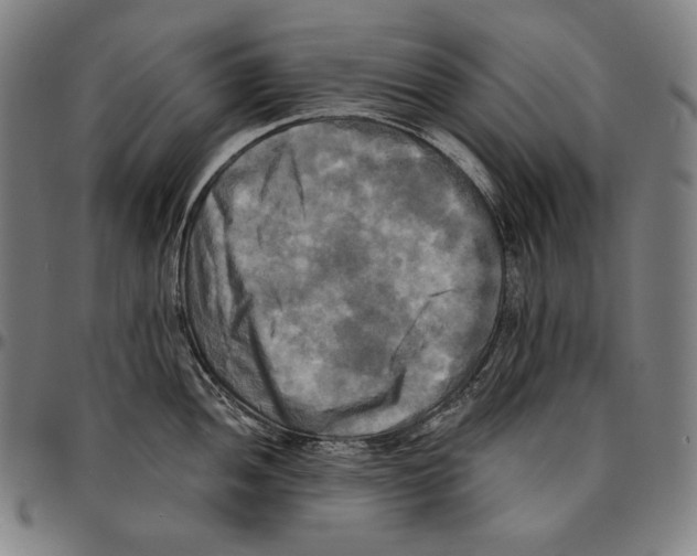 X0000095121052200801041219