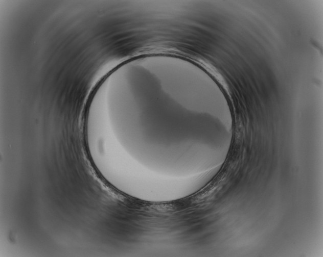 X0000095121053200801041219