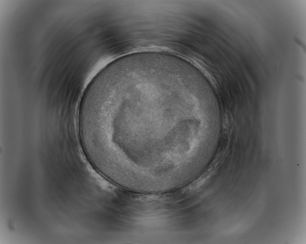 X0000095121054200801041219