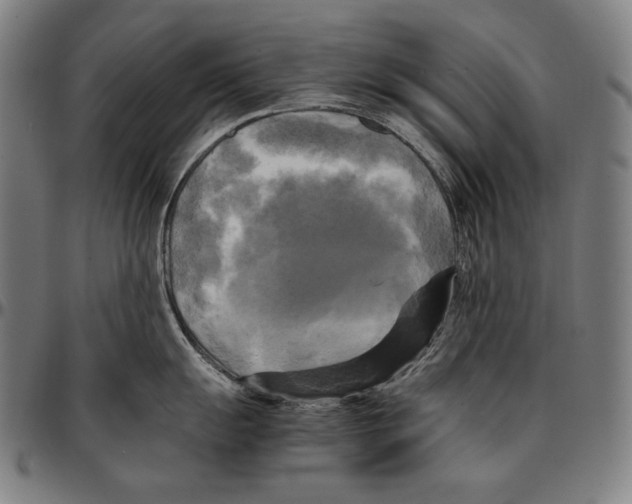 X0000095121055200801041219