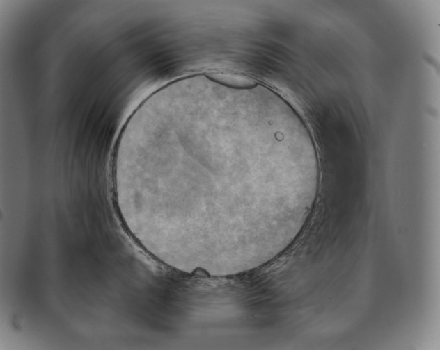 X0000095121056200801041219