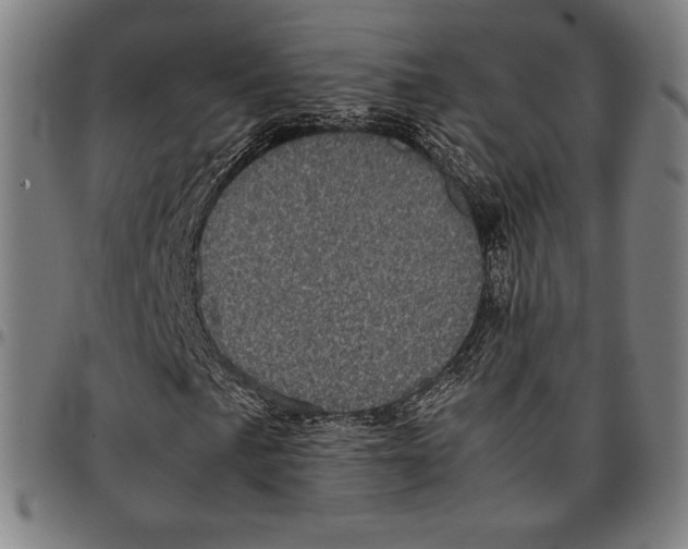 X0000095121057200801041218