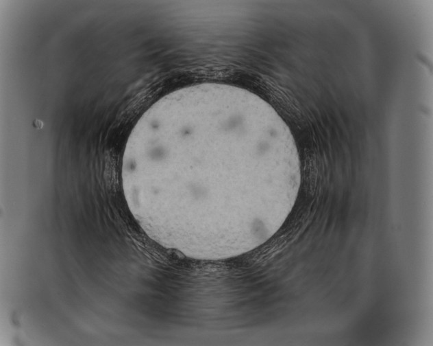 X0000095121058200801041218