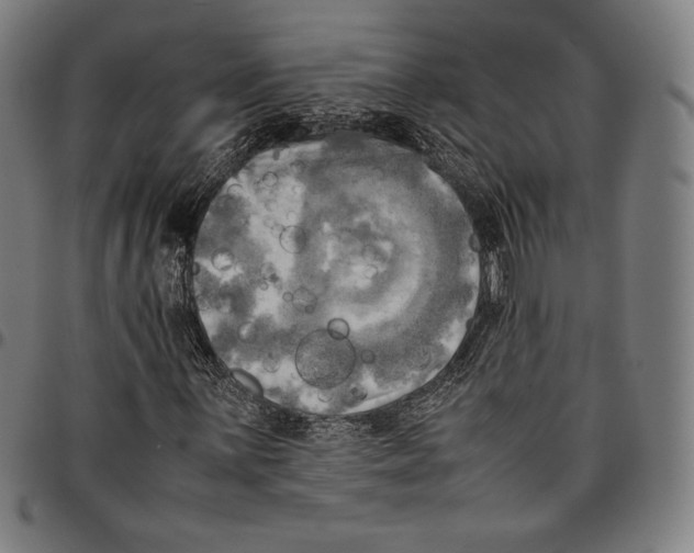 X0000095121059200801041218