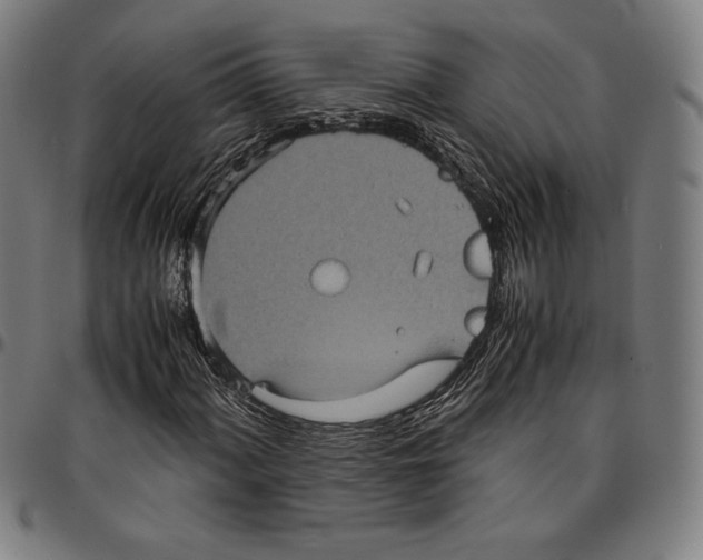 X0000095121060200801041218