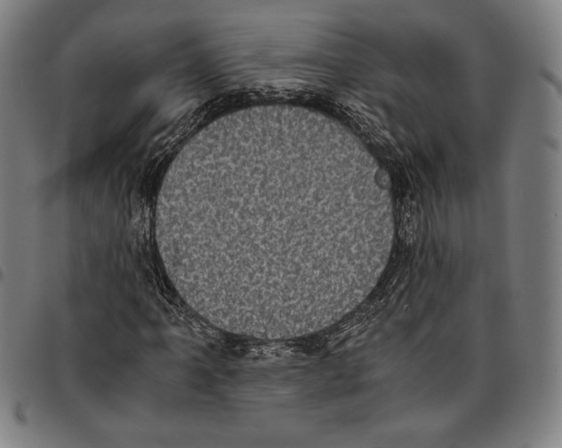 X0000095121061200801041218