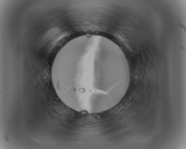 X0000095121063200801041218