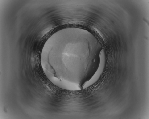 X0000095121064200801041218