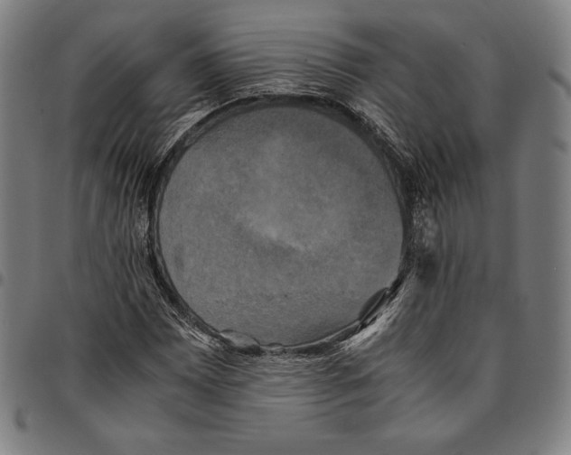 X0000095121065200801041218