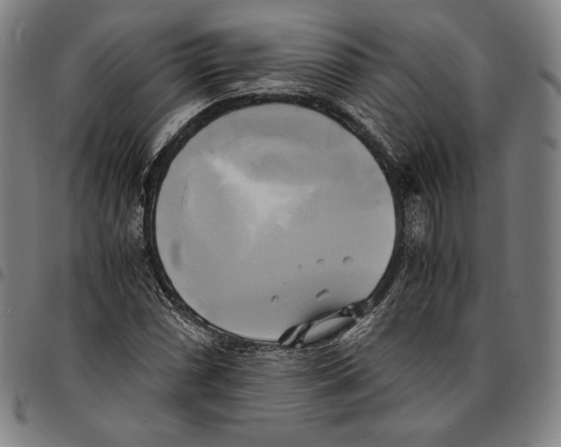 X0000095121066200801041218