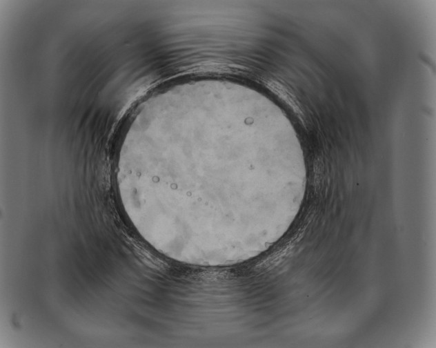 X0000095121067200801041218