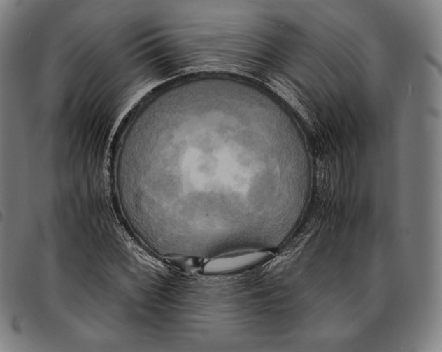 X0000095121068200801041218