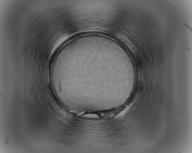 X0000095121069200801041218