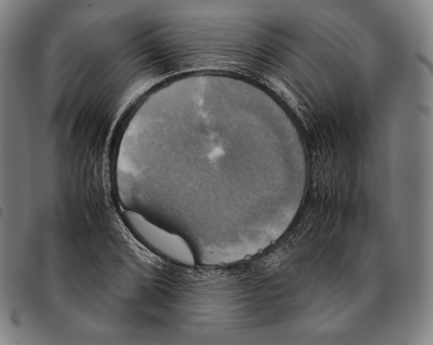 X0000095121072200801041218