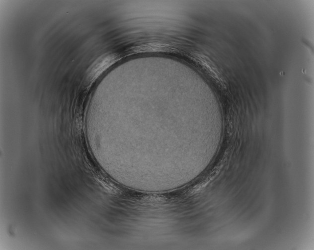 X0000095121073200801041218