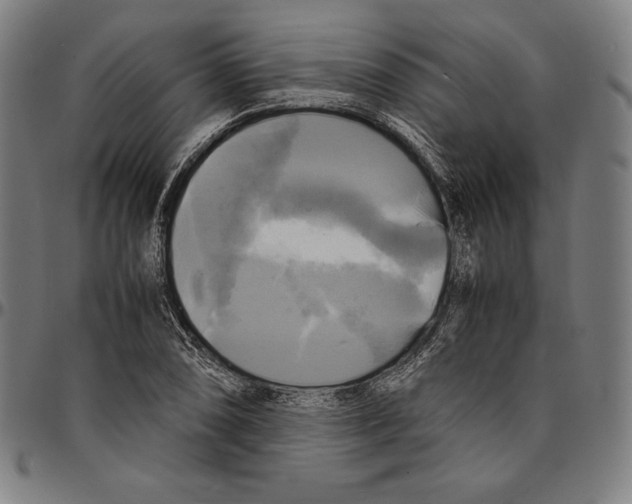 X0000095121074200801041218