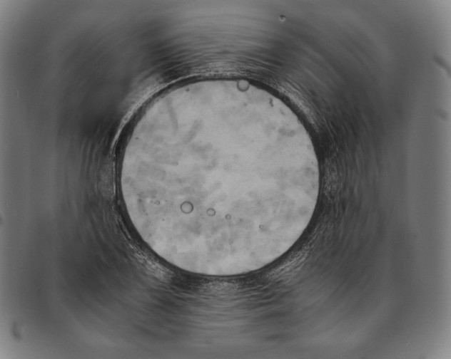 X0000095121075200801041218